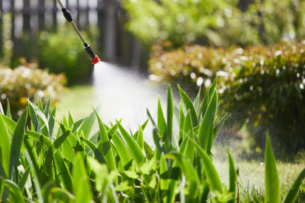 Tamper-Resistant Bait Stations for Rodents in Metter