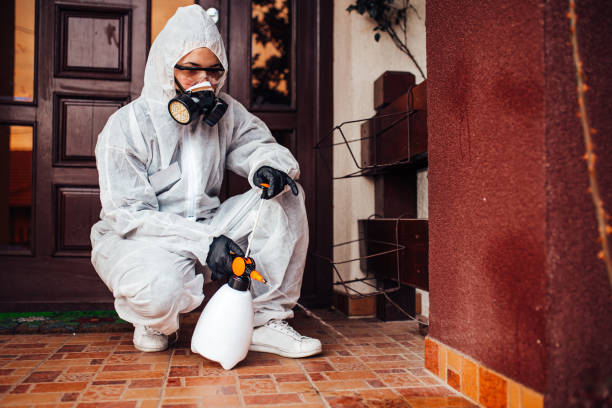 Attic and Crawl Space Rodent Treatment in Metter