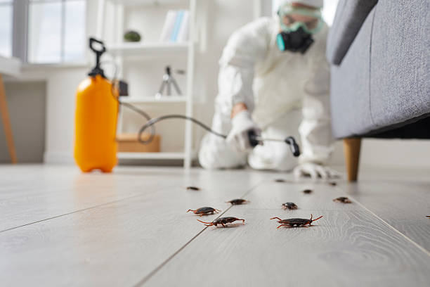 Commercial Rodent Management in Metter